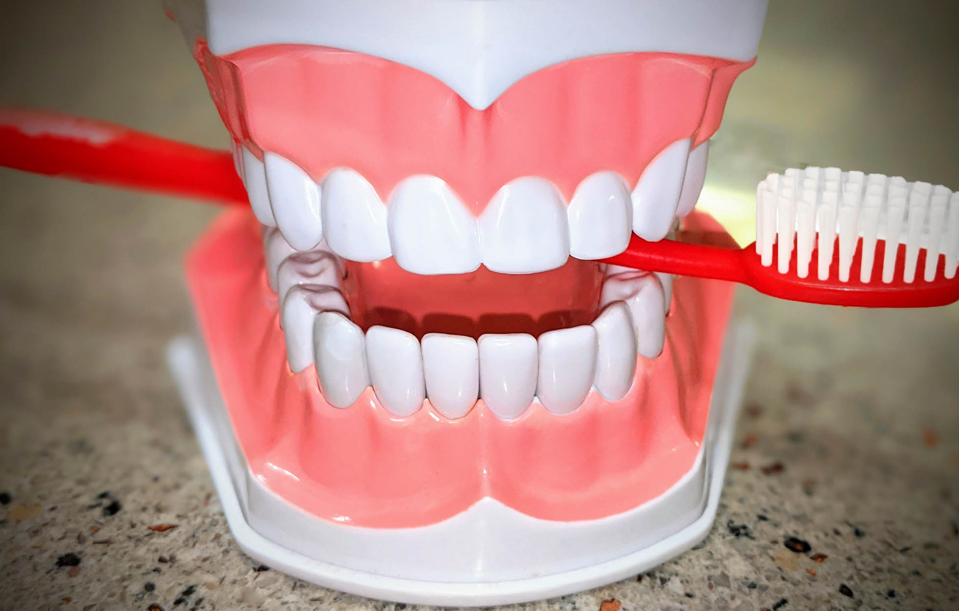 Dentist Carpentersville IL | Randall Oaks Dental